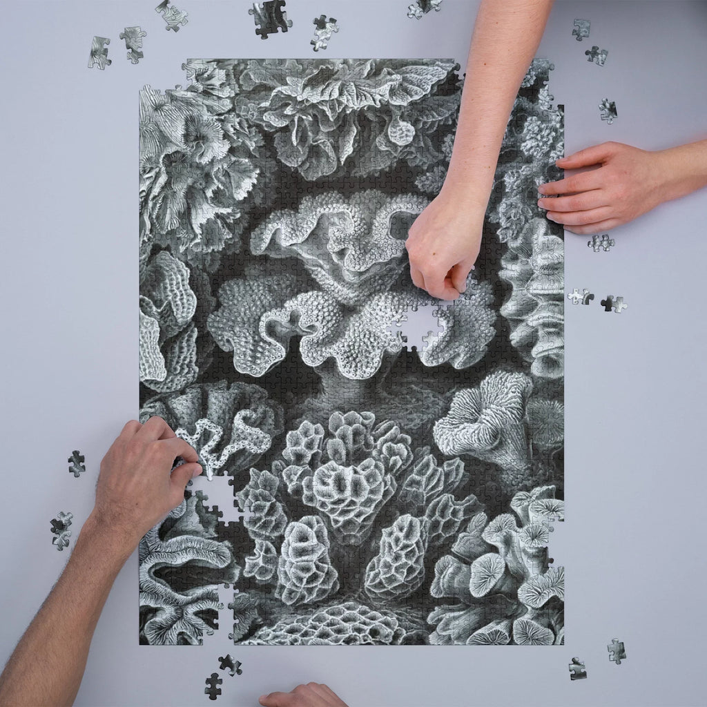 Ernst Haeckel, Hexacoralla (1000 Piece Puzzle, Size 19x27, Challenging Jigsaw Puzzle for Adults and Family, Made in )