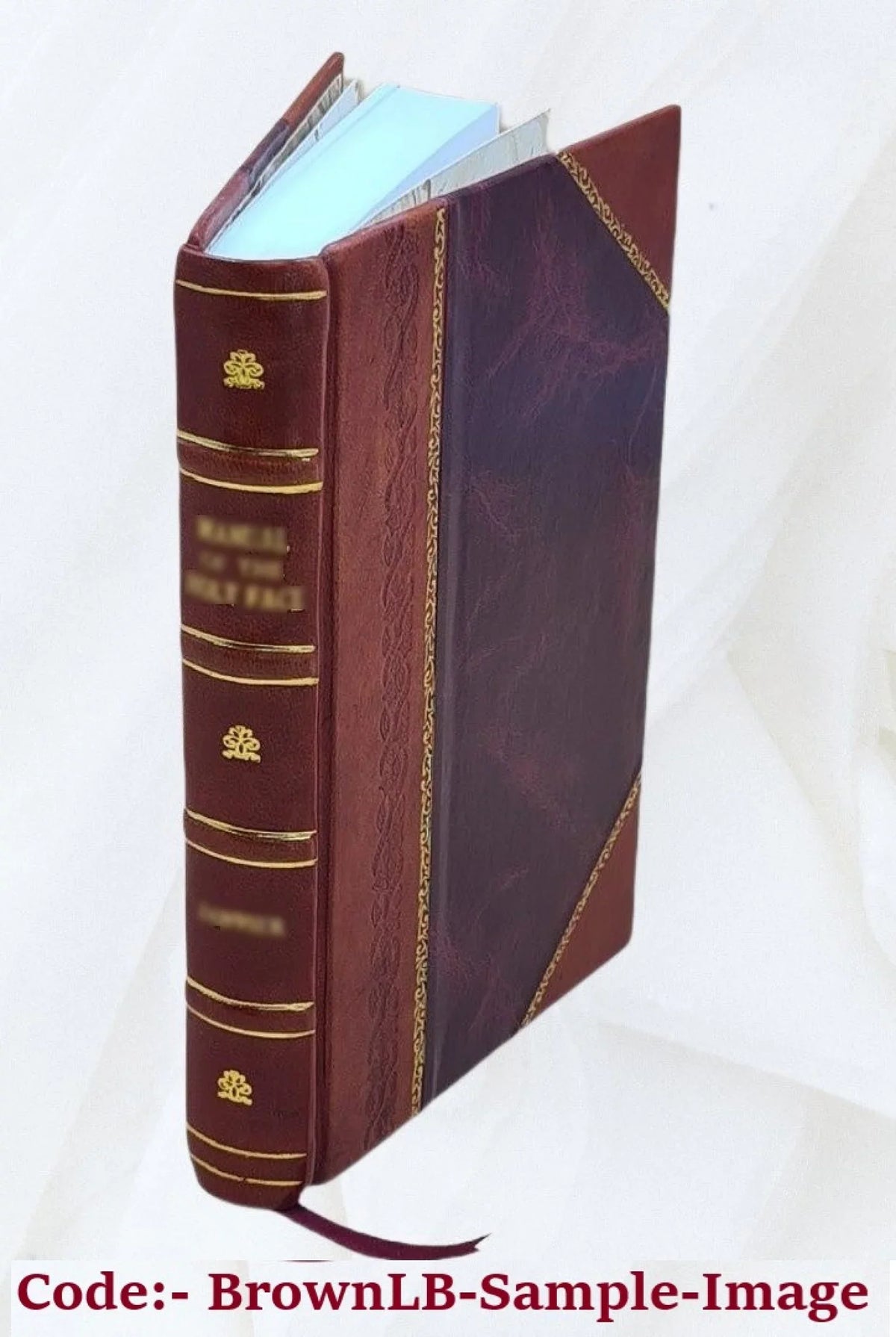 Corporis humani anatomia, in qua omnia tam veterum, quam recentiorum anatomicorum inventa methodo nova, & intellectu facillima describuntur, ac tabulis æneis repræsentantur. Author