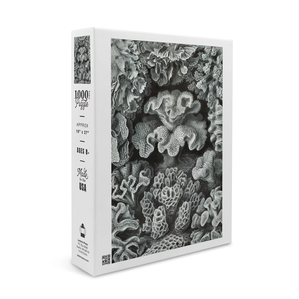 Ernst Haeckel, Hexacoralla (1000 Piece Puzzle, Size 19x27, Challenging Jigsaw Puzzle for Adults and Family, Made in )