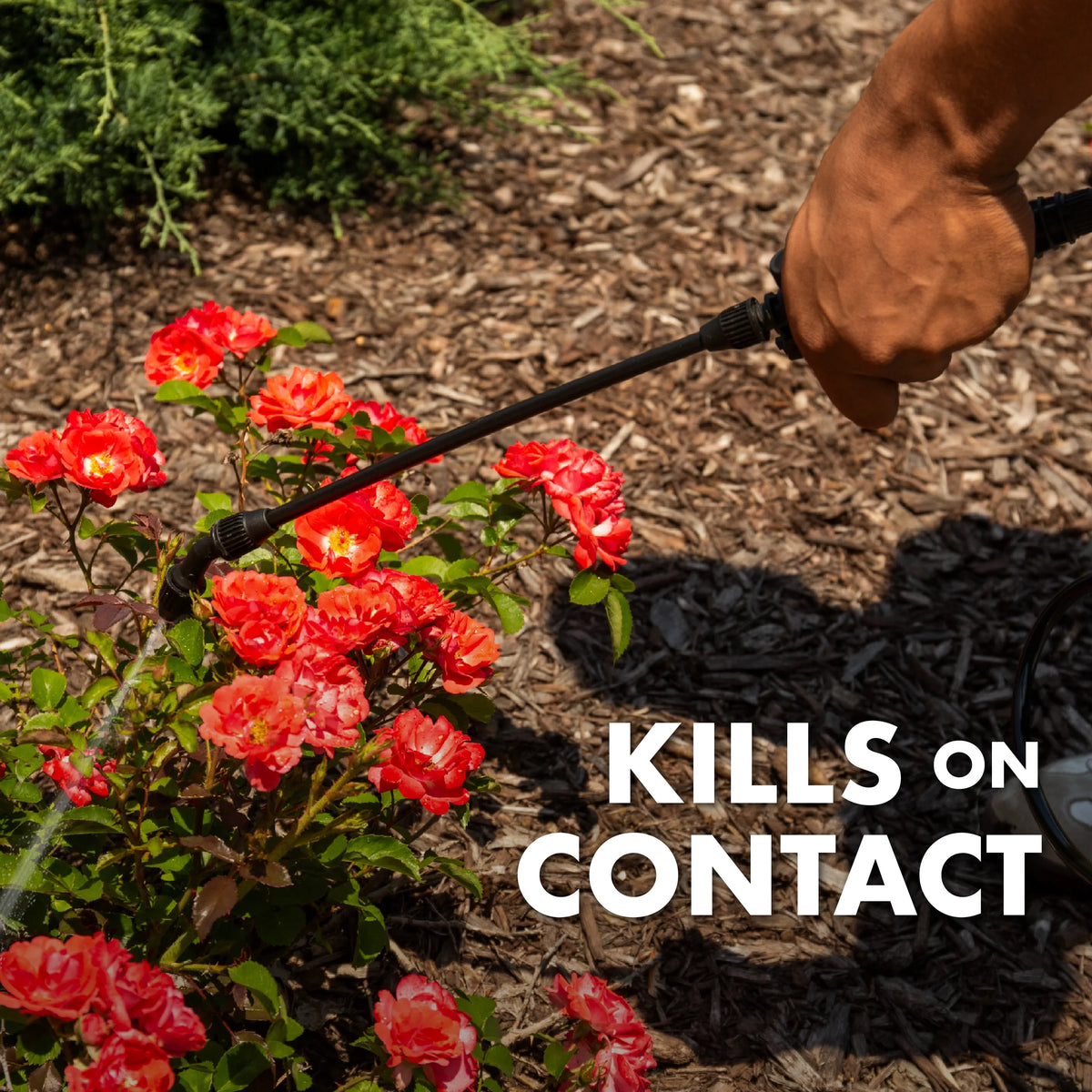 Spectracide Acre Plus Triazicide Insect Killer for Lawns & Landscapes Concentrate1 Gallon