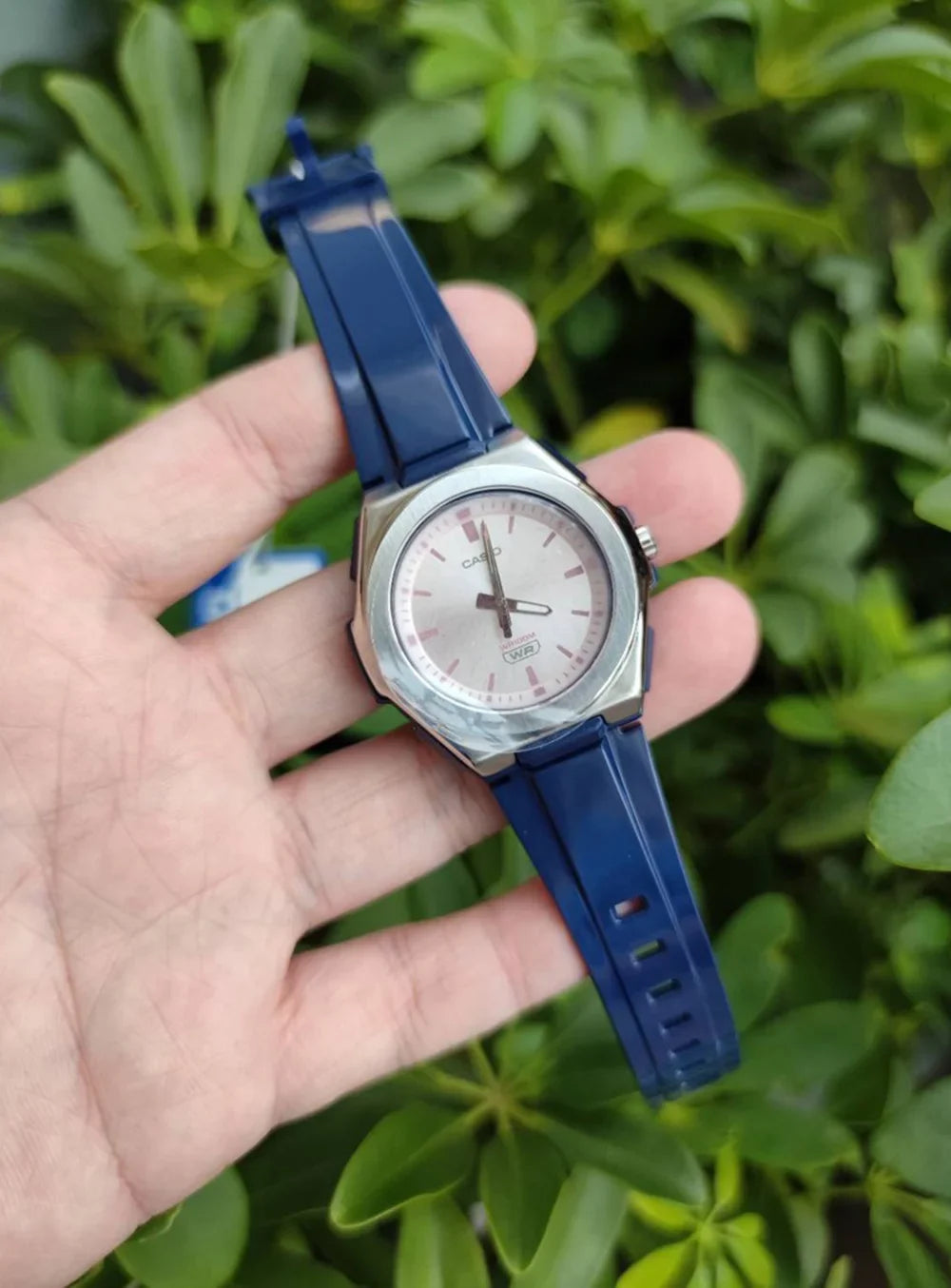 Casio Female Adult's Analog Quartz 100m Pink Dial Blue Resin Watch -2EV