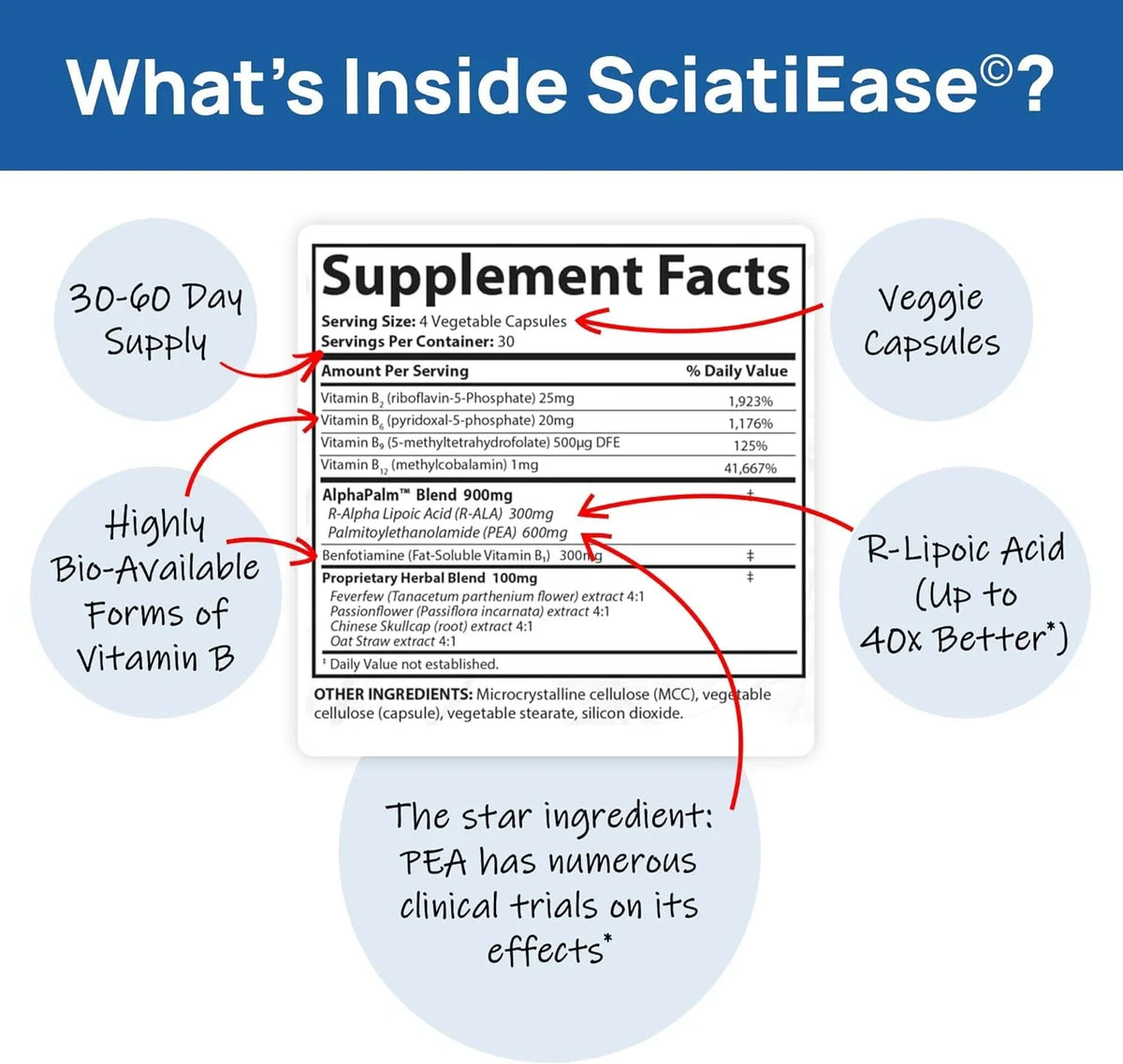 SciatiEase Sciatic Nerve Health Support - Supplement with AlphaPalm, Pea, Vitamin  Complex, Alpha Lipoic Acid 300mg - 120 Capsules - Nerve Support Formula