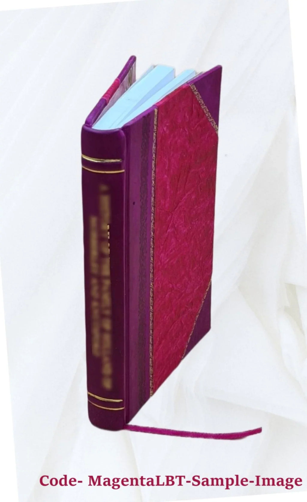 Institutiones iuris canonici : in tres partes, ac sex tomos distributae : quibus vetus et nova ecclesiae disciplina et mutationum causae enarrantur . 2 1800 [Leather Bound]
