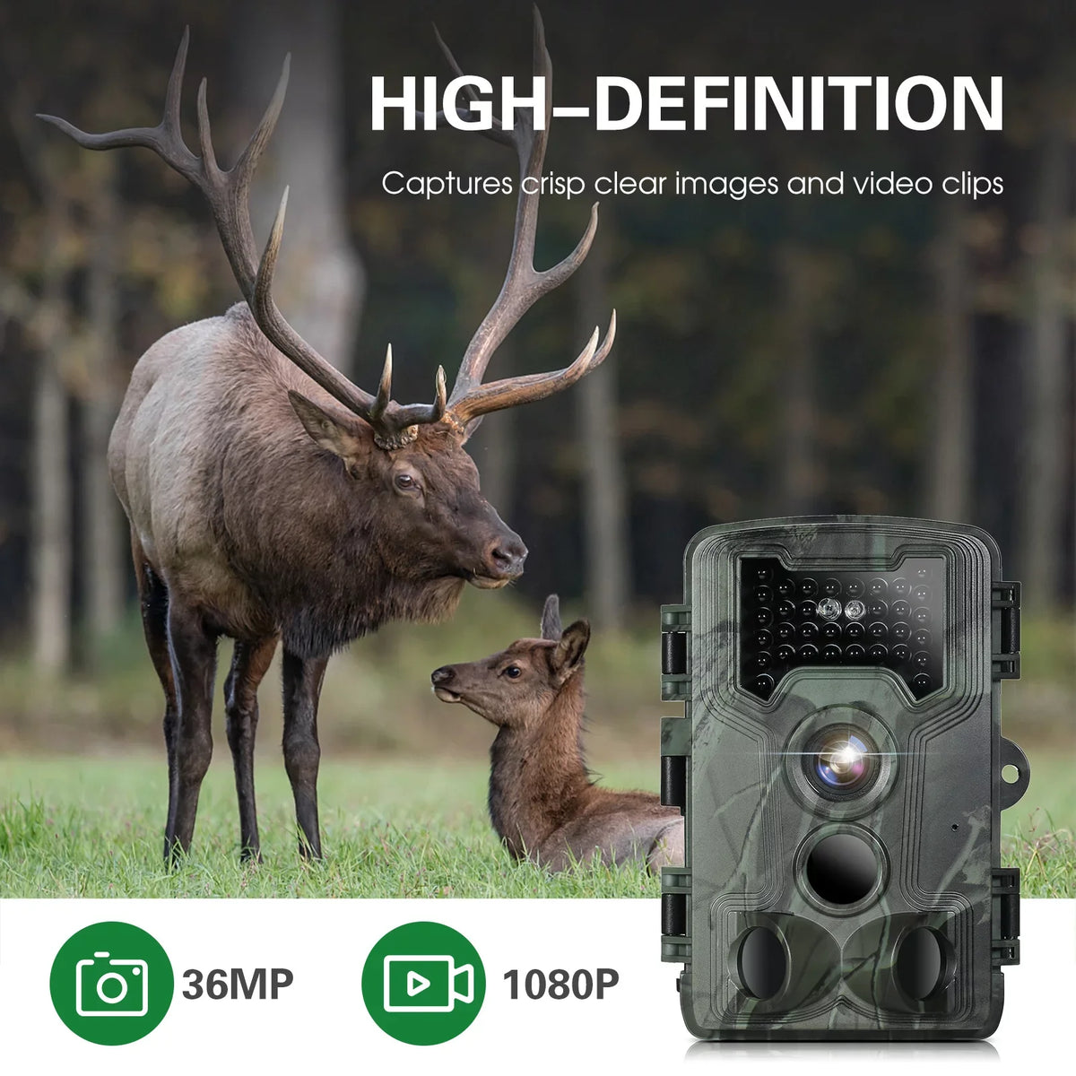 Lixada Trail and Game Camera 36MP 1080P with Night Vision Waterproof  for Wildlife Researching