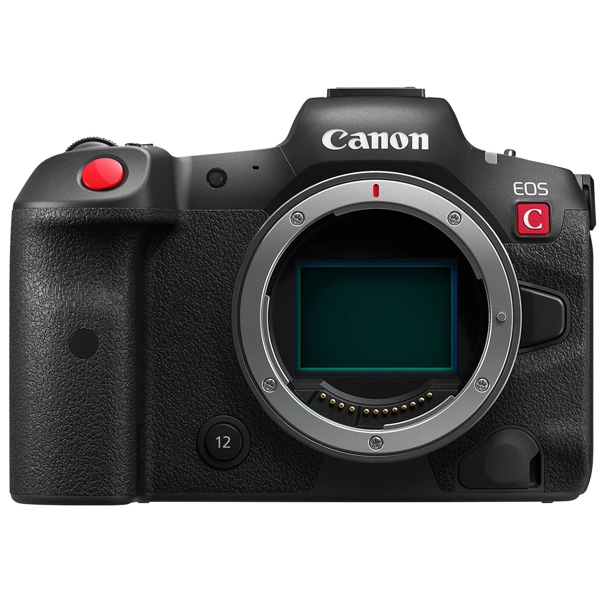 Canon    Mirrorless Cinema Camera (Body) with 2 Pack SanDisk 128GB Memory Card + Case + ZeeTech Accessory Bundle