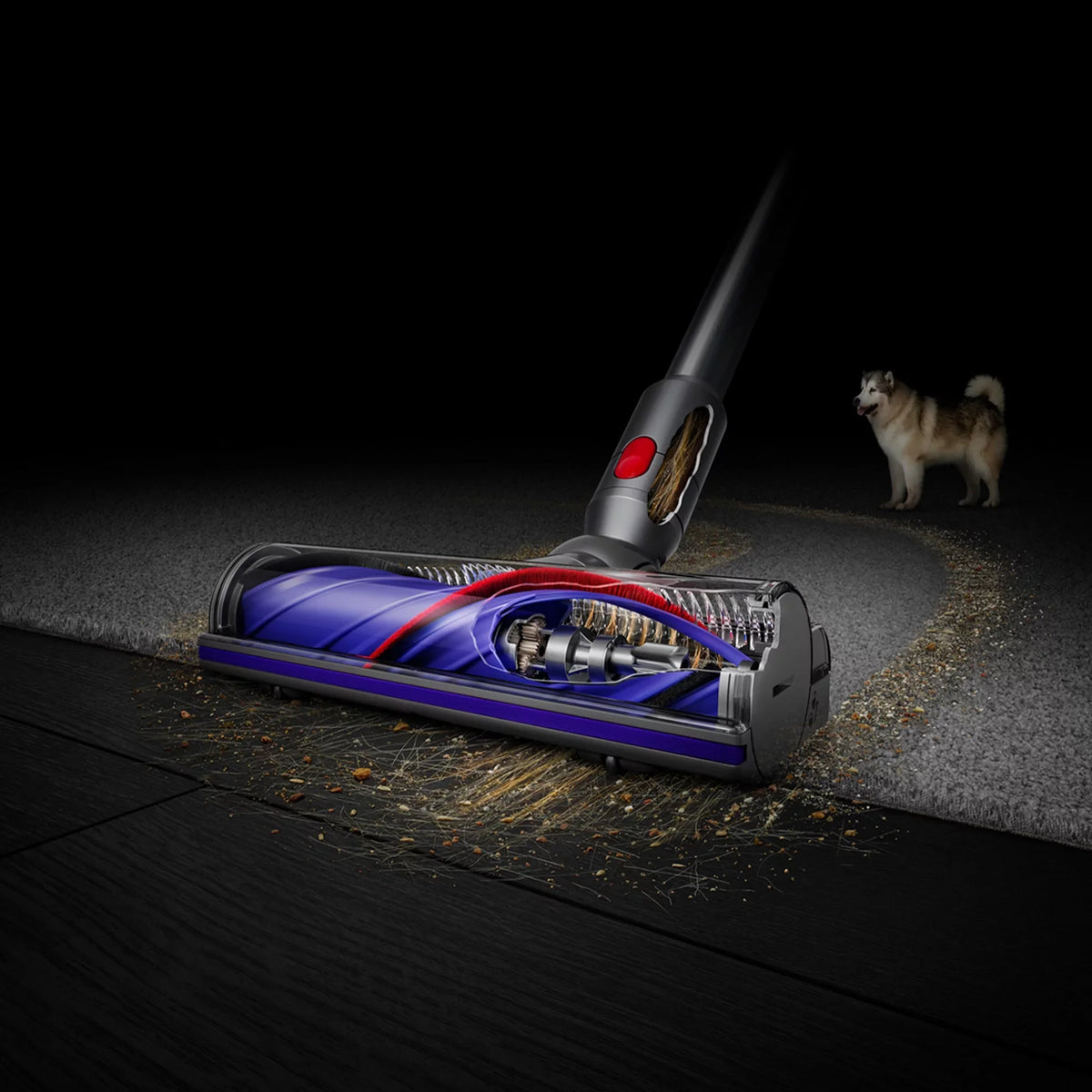 Dyson  Absolute Cordless Vacuum | Silver/Nickel | Refurbished