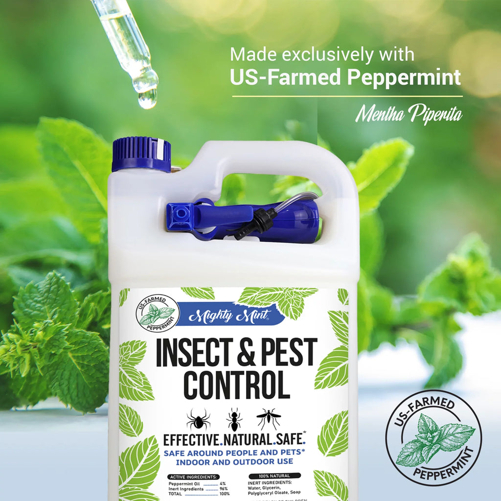 Mighty Mint Gallon (128 oz) Insect & Pest Control Peppermint Oil Spray for Spiders, Ants, and More