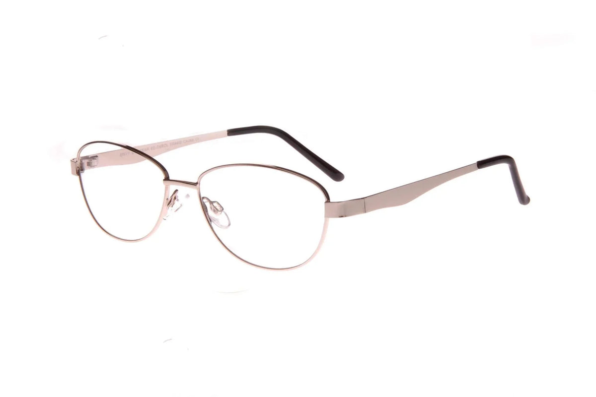 Silver  Eyeglasses 53mm with Case