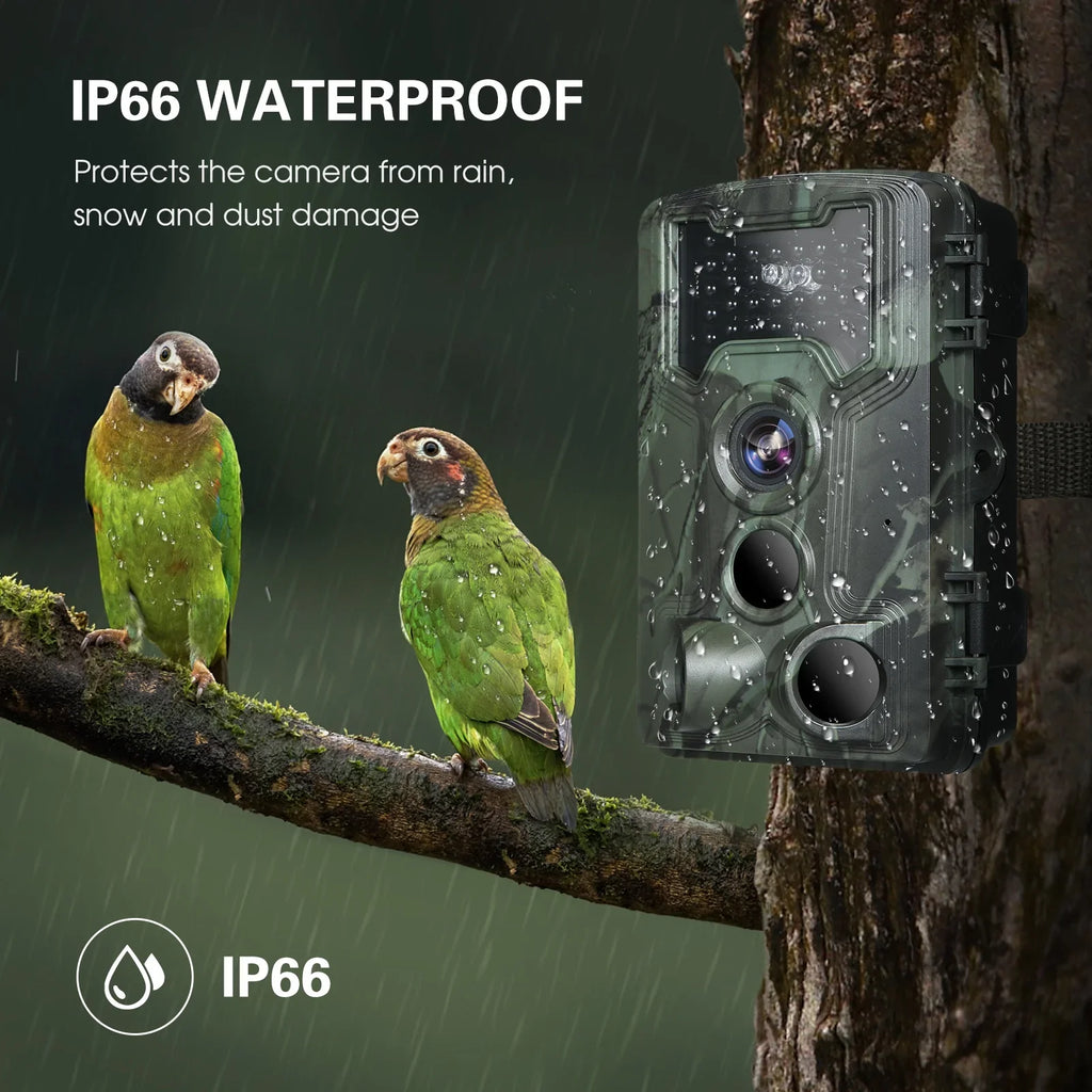 Lixada Trail and Game Camera 36MP 1080P with Night Vision Waterproof  for Wildlife Researching